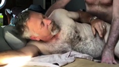 mature dad fucked hard