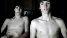 Brothers in skype