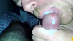 German Blowjob till cum