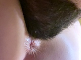 Hot amateur close up Doggy style HD video