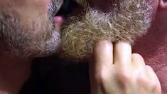 Muscular Daddies Intimately Kissing