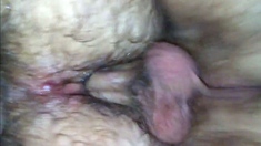 Amateur Bottom Returns for Bareback Breeding