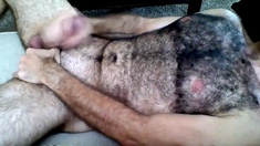 Hairy Horny Daddy Strokes His Big Cock