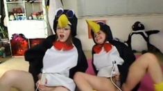 Teen penguins on cam