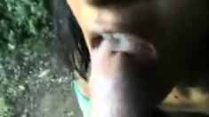 Slut Swallows Cum In The Park