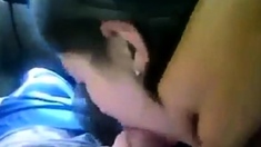 Cute College Girl Gives A Car Blowjob