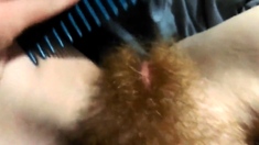 Hairy Redhead